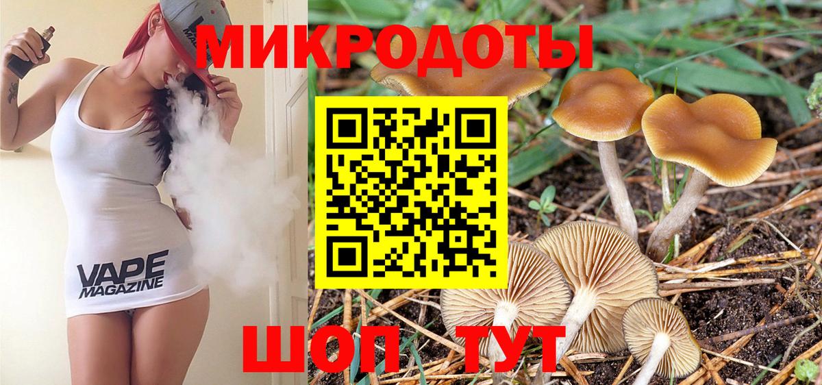 Псилоцибиновые грибы Cubensis Красноармейск