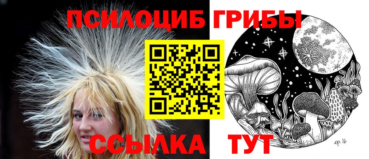 Красноармейск  Галлюциногенные грибы ЛСД  Вход с VPN  Галлюциногенные грибы Psilocybine cubensis 